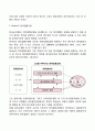 사회복지정책의 집행과정과 정책집행모형 4페이지