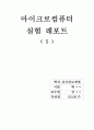 마이크로컴퓨터 실험 레포트(5) 1페이지