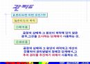QC기초수법 61페이지