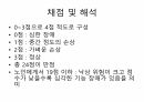 DGI (Dynamic Gait Index) 평가방법 15페이지