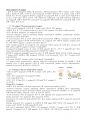 [최우수 레포트] 항체생성면역반응 정리 및 관련 기법들 3페이지
