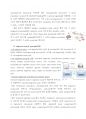 [만점레포트] T cell migration 실험 과정 및 분석 방법 6페이지