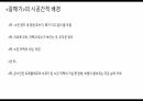 20세기연극과 동시대연극 -  러시아 사실주의 MAT,체홉,스타니,갈매기 18페이지