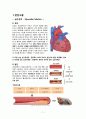 성인간호학 실습, case study, myocadial infaction, 심근경색, 케이스 스터디, 간호진단 5개, 간호중재, 이론적 근거 교수님께서 극찬해주신 자료입니다 3페이지