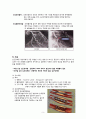 성인간호학 실습, case study, myocadial infaction, 심근경색, 케이스 스터디, 간호진단 5개, 간호중재, 이론적 근거 교수님께서 극찬해주신 자료입니다 5페이지