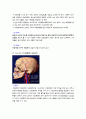 심혈관계 검사(관상동맥조영술, 경식도 심초음파, 경동맥초음파) 2페이지