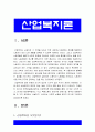 산업복지론] 산업복지에 대한 관점. 미시적 접근과 거시적 접근 두가지 관점. 2016년 구의역 사고, 2018년 태안화력발전소 사고, 택배노동자 과로사 사건들에 대한 기업, 정부의 대응방식을 미시적 접근과 거시적 접근 두 가지 관점에서 서술, 산업복지론 3페이지