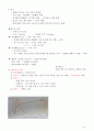 소방안전관리2급 교재 핵심 포인트 완벽정리 - 이것 하나면 무조건 합격 14페이지