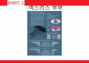 성심리와 성건강,노인의 성,신체의 노화,성병문제,배우자의 부재,섹스리스 부부,성 의식 10페이지