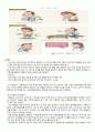 A+ 간호진단 3개 성인간호학실습 위염환자 케이스스터디 간호과정 4페이지