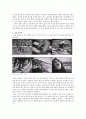 의 몽타주 레포트 4페이지