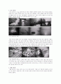 의 몽타주 레포트 5페이지