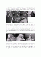 의 몽타주 레포트 7페이지