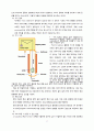 고분자공학 예비보고서 TGA Thermogravimetric analysi 2페이지