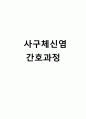 사구체신염 간호과정 1페이지