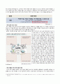 우리반 아이들과 함께 하고 싶은 프로그램 설계하기_교육과정_교직과목 2페이지