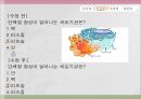 교육평가_선택형 문항 제작, 발표자료_PPT 57페이지