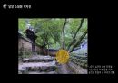 환경디자인, 현대, 전통 사례 발표자료 / 생활속의 디자인 / 관련 레포트 / 발표자료 PPT 14페이지