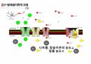 (A+ 발표 자료/High Quality/대본 있음) 횡문근융해증, Rhabdomyolysis 8페이지