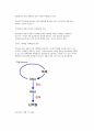 동물유전과개량 중간과제-Central Dogma, DNA,RNA,단백질 분석방법 4페이지