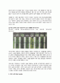 [독후감] 2021 한국이 열광할 세계 트렌드 2페이지