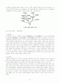 [연구 보고서] 호흡 색소에 따른 동물 분류 및 공통적인 특징을 통한 진화론적 배경 예측 8페이지