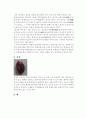 [수업,실습자료] 흰쥐 해부 실험계획서 6페이지