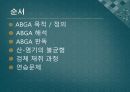 ABGA(PPT) 2페이지
