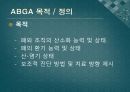 ABGA(PPT) 3페이지