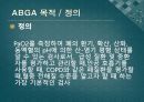 ABGA(PPT) 4페이지