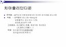 당뇨2 39페이지