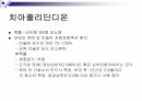 당뇨2 40페이지
