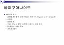 당뇨2 44페이지
