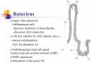 소아장염 11페이지