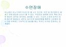 수면장애 33페이지
