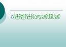신기능 장애 2페이지