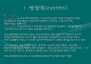 신기능 장애 3페이지