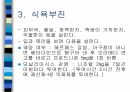 암환자 간호 4페이지