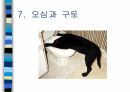 암환자 간호 11페이지