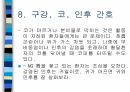 암환자 간호 16페이지