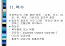 암환자 간호 19페이지