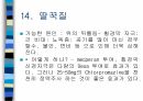 암환자 간호 26페이지