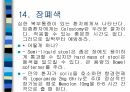 암환자 간호 27페이지