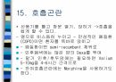 암환자 간호 28페이지