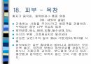 암환자 간호 33페이지