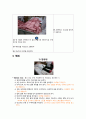 기본간호학 과제 : 침상, 체위 7페이지