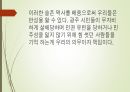 5 18 민주화,5 5페이지