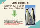 [발표자료]광전효과와 맥놀이 현상 16페이지