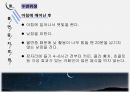 불면증 교육안 [PPT 발표자료] 15페이지