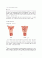 여성간호학실습_자궁근종 케이스 [간호진단 및 간호과정 4개] 2페이지